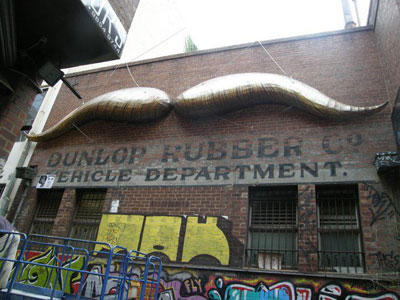 alley cat movember